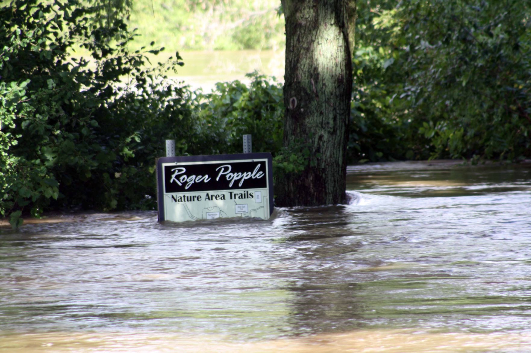 090618-reed-gallery-flood004